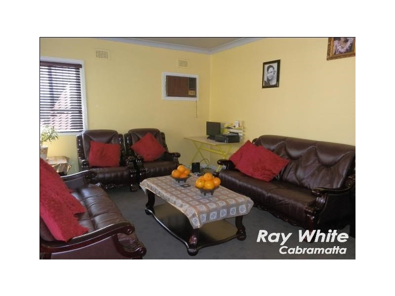 53 Broad Street, Cabramatta NSW 2166