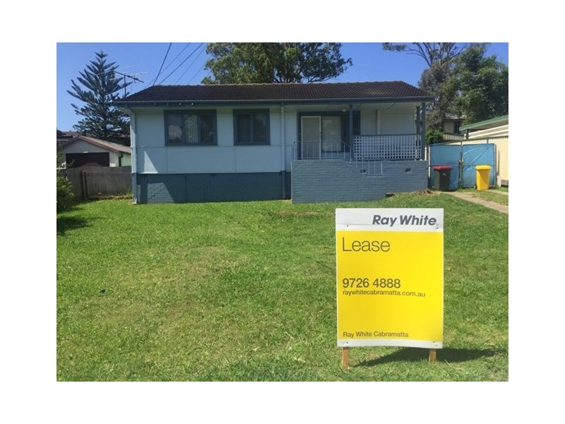 17 Albany Street, Busby NSW 2168