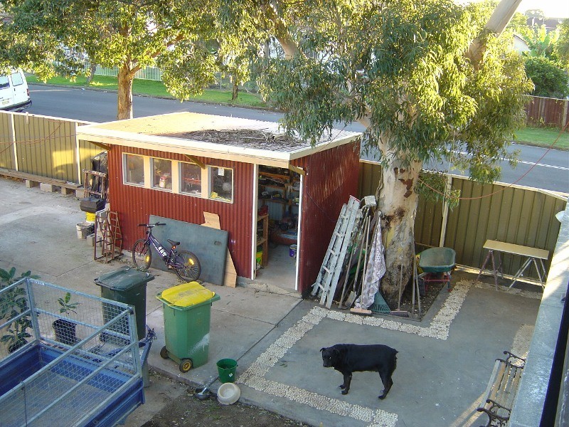 Cabramatta NSW 2166