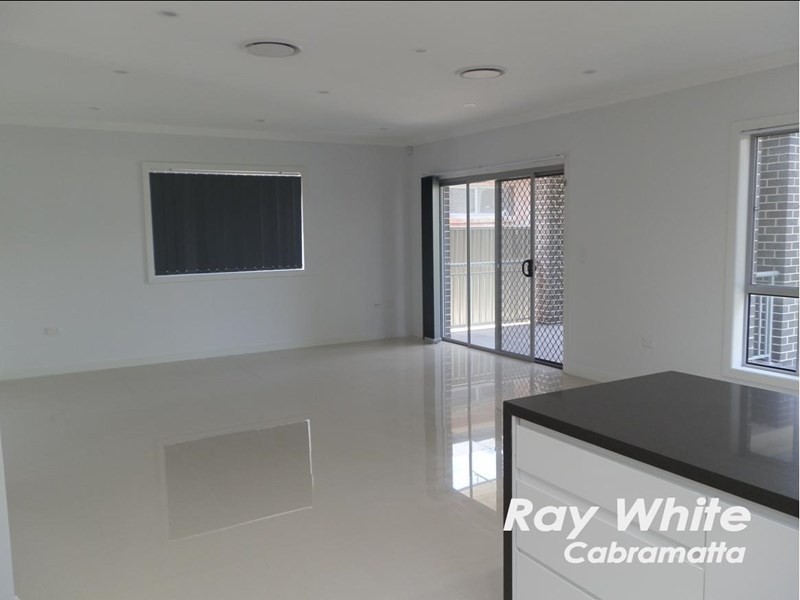 Mount Pritchard NSW 2170