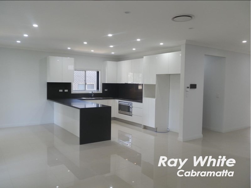 Mount Pritchard NSW 2170