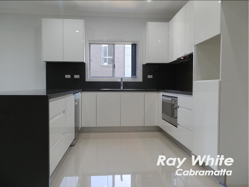 Mount Pritchard NSW 2170