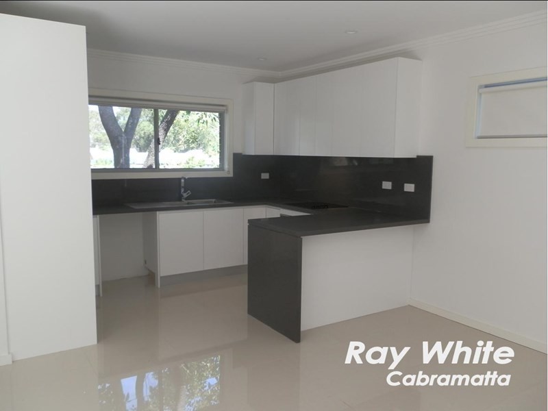 Mount Pritchard NSW 2170