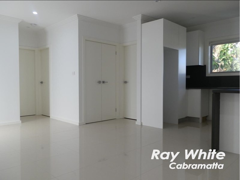 Mount Pritchard NSW 2170