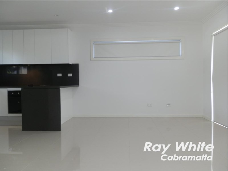 Mount Pritchard NSW 2170