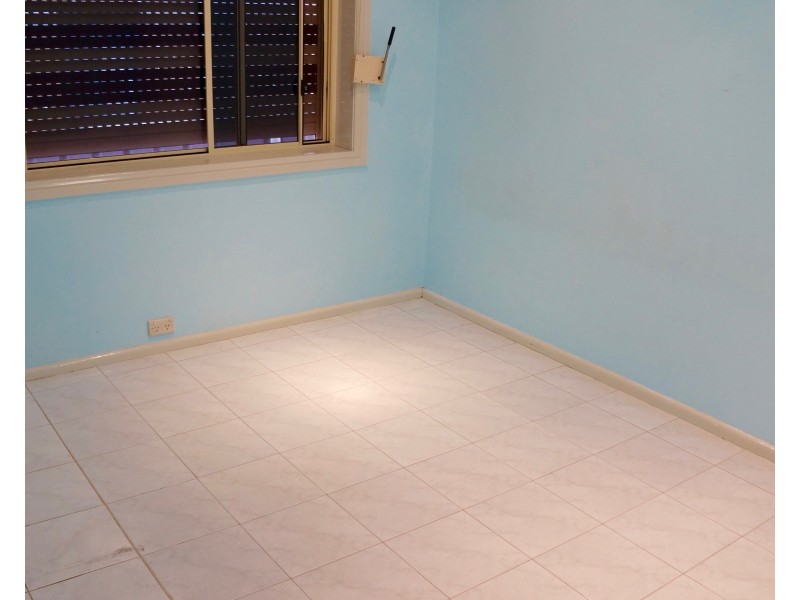 23 Allenby Street, Canley Heights NSW 2166