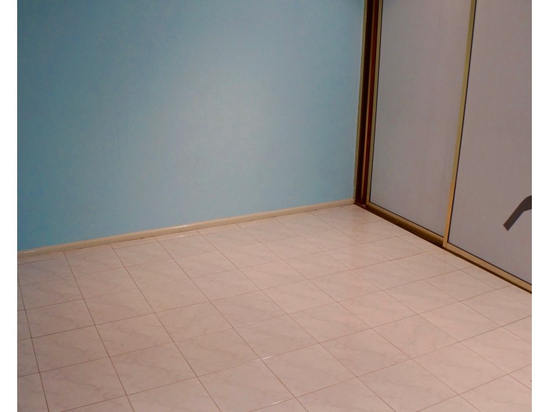 23 Allenby Street, Canley Heights NSW 2166