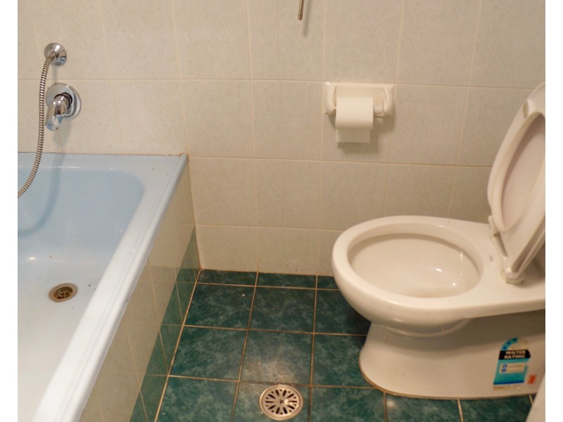 23 Allenby Street, Canley Heights NSW 2166