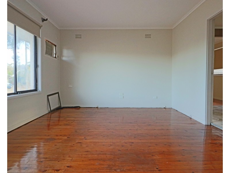 66 Alinga Street, Cabramatta NSW 2166