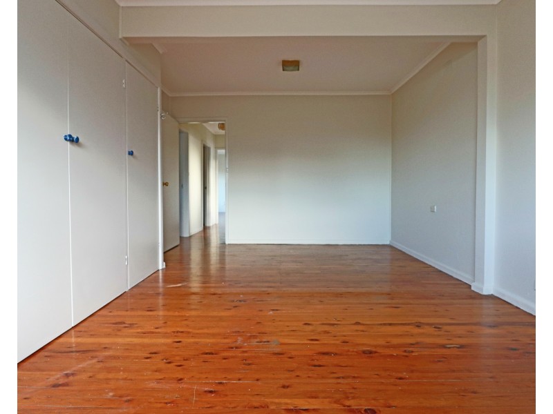 66 Alinga Street, Cabramatta NSW 2166