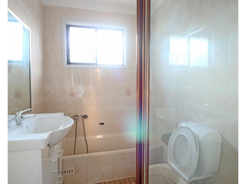 66 Alinga Street, Cabramatta NSW 2166