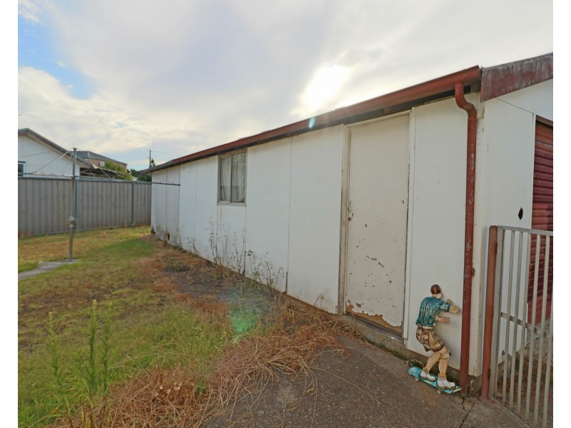 66 Alinga Street, Cabramatta NSW 2166