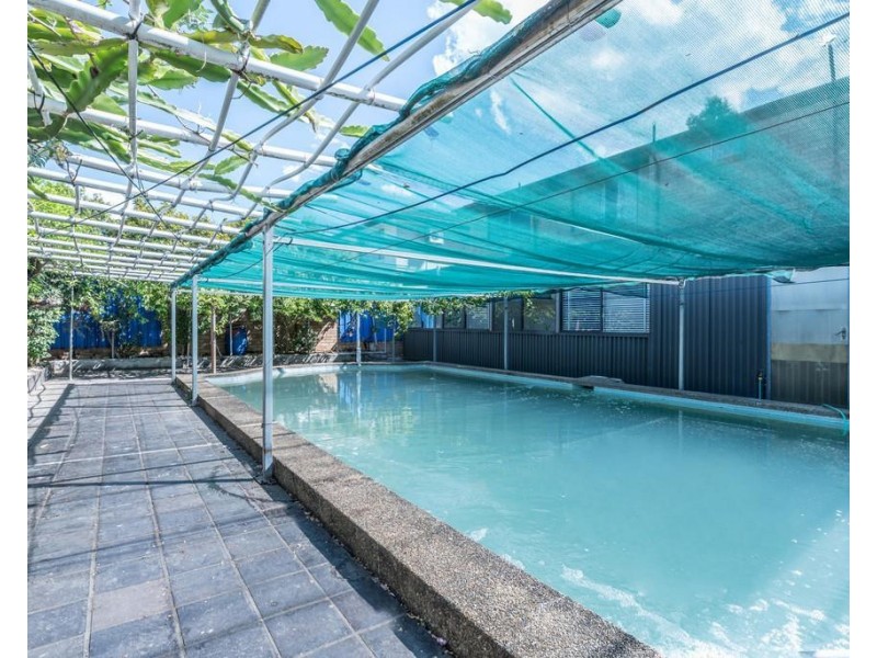 1 Cayley Avenue, Punchbowl NSW 2196