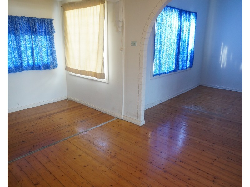 167 Canley Vale Road, Canley Heights NSW 2166