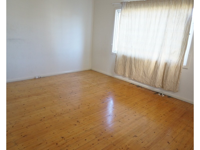 167 Canley Vale Road, Canley Heights NSW 2166