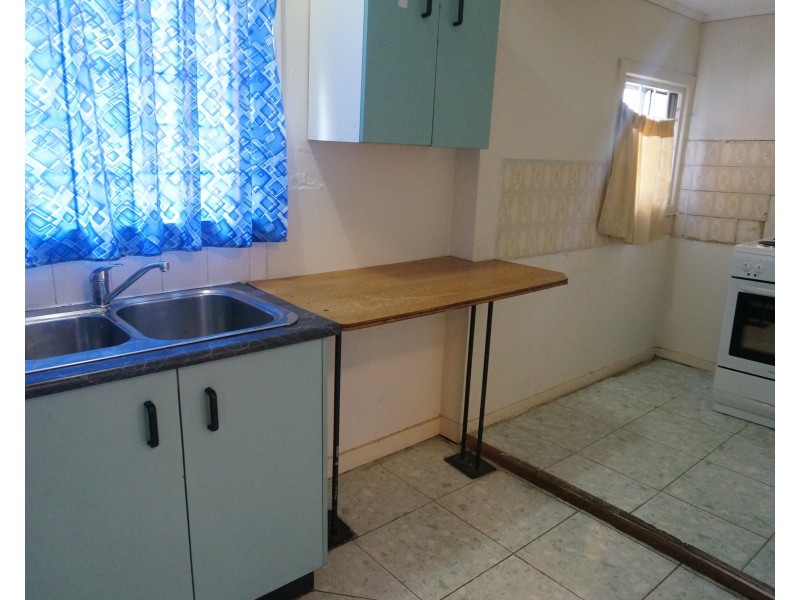 167 Canley Vale Road, Canley Heights NSW 2166