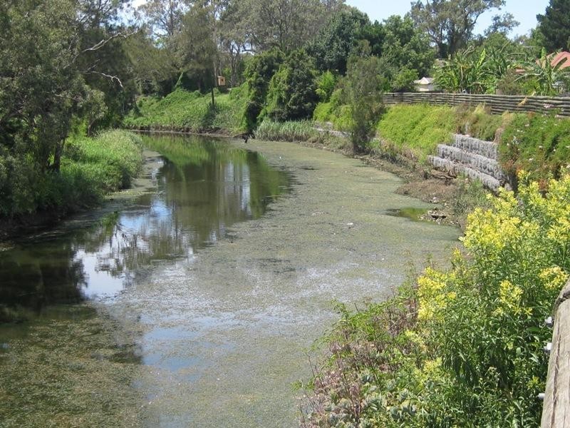 Canley Vale NSW 2166