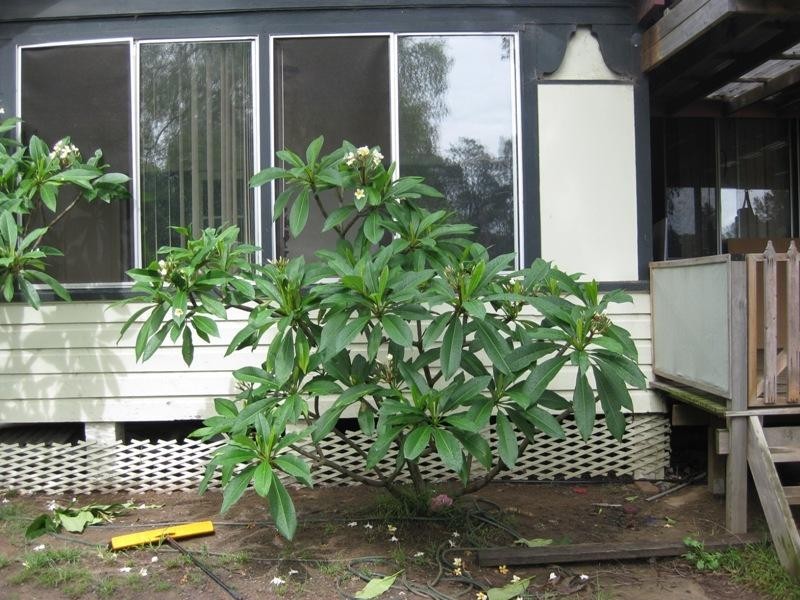 Canley Vale NSW 2166