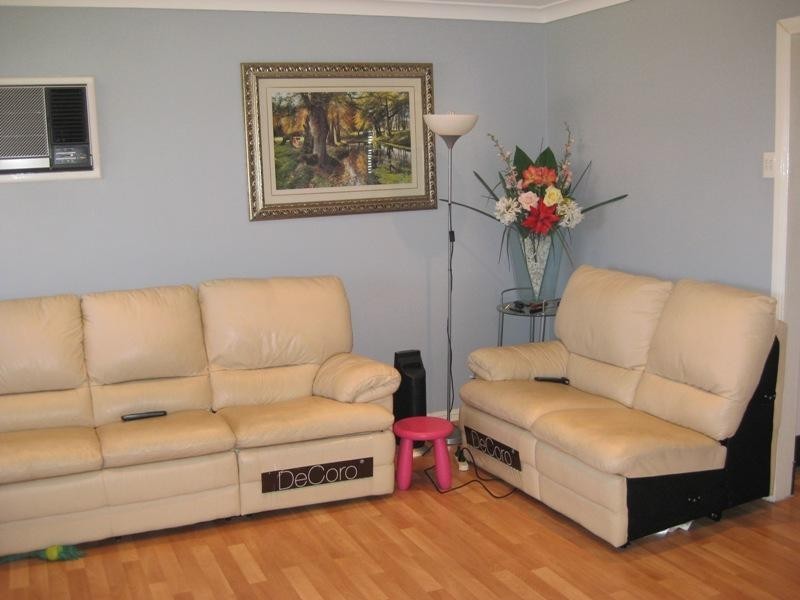 33 Stroker Street, Canley Heights NSW 2166