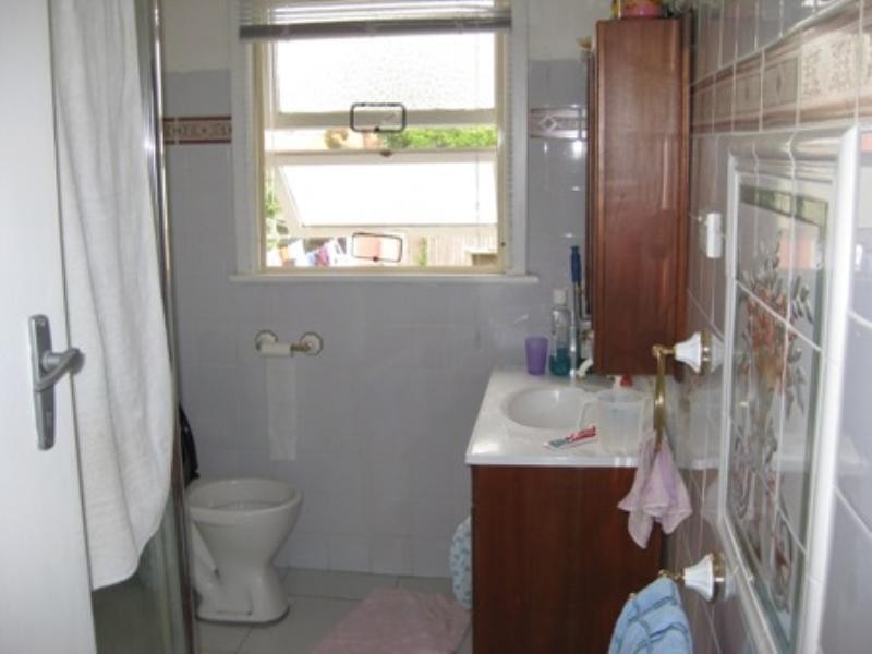 4 Andrew Street, Canley Heights NSW 2166