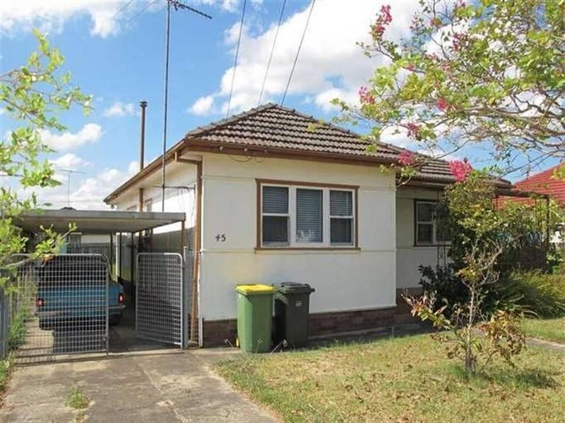 45 Wyong Street, Canley Vale NSW 2166