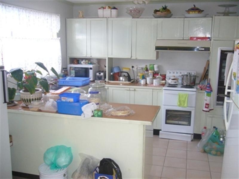 23 Wyong Street, Canley Heights NSW 2166