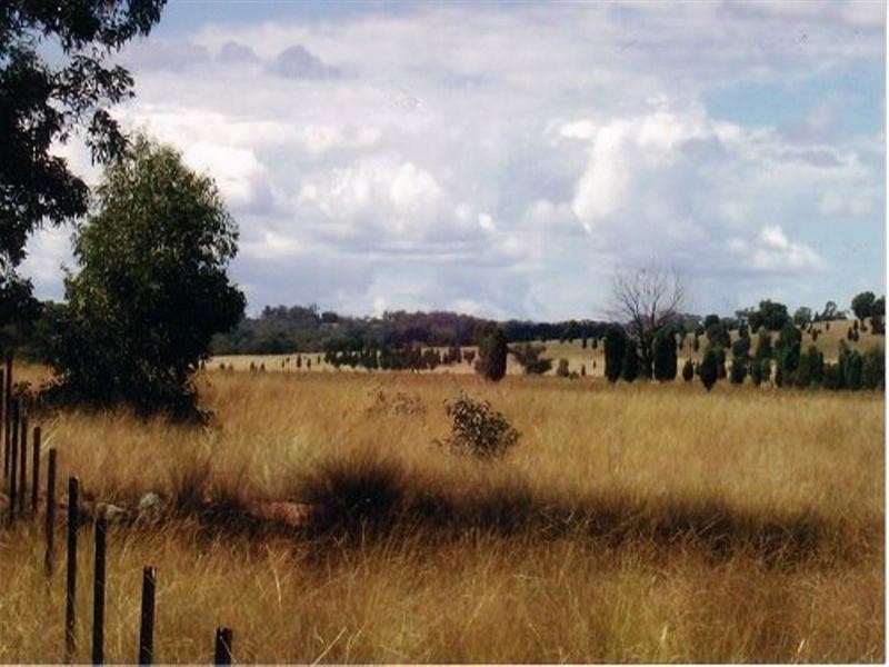 Mendooran NSW 2842