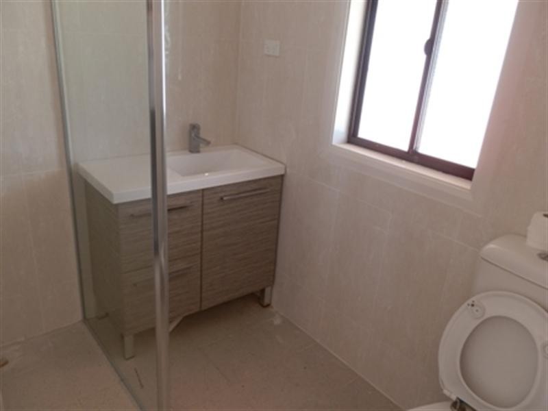 45 Longfield Street, Cabramatta NSW 2166