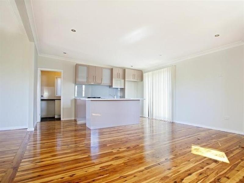 65 Anderson Avenue, Mount Pritchard NSW 2170