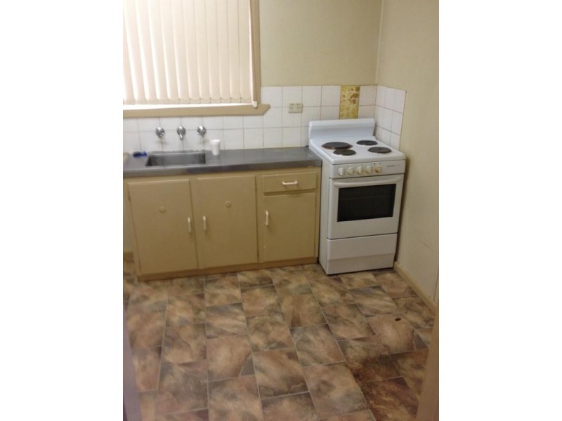 45A Wyong Street, Canley Vale NSW 2166