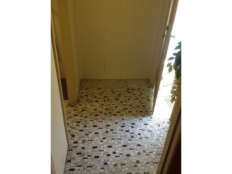 45A Wyong Street, Canley Vale NSW 2166