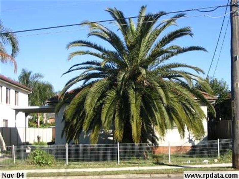 238 John Street, Cabramatta NSW 2166