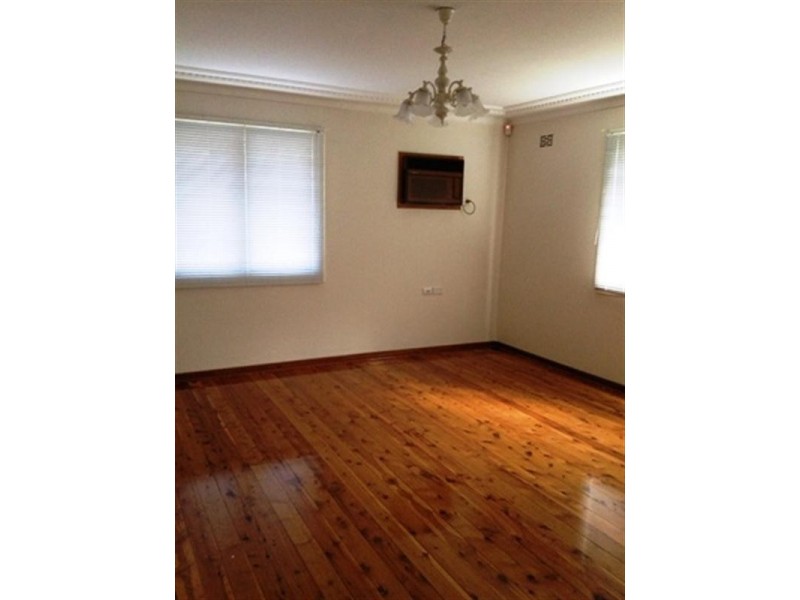 10 Grace Avenue, Cabramatta NSW 2166