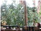 Cairns QLD 4870