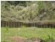 Redlynch QLD 4870