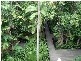 Palm Cove QLD 4879
