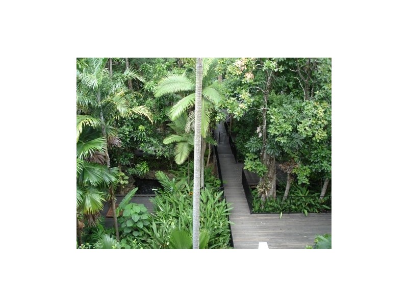 Palm Cove QLD 4879