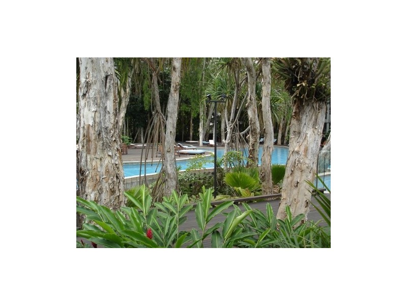 Palm Cove QLD 4879