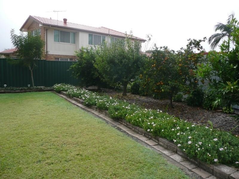 19 Cressida Street, Sunnybank Hills QLD 4109