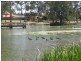Parkinson QLD 4115