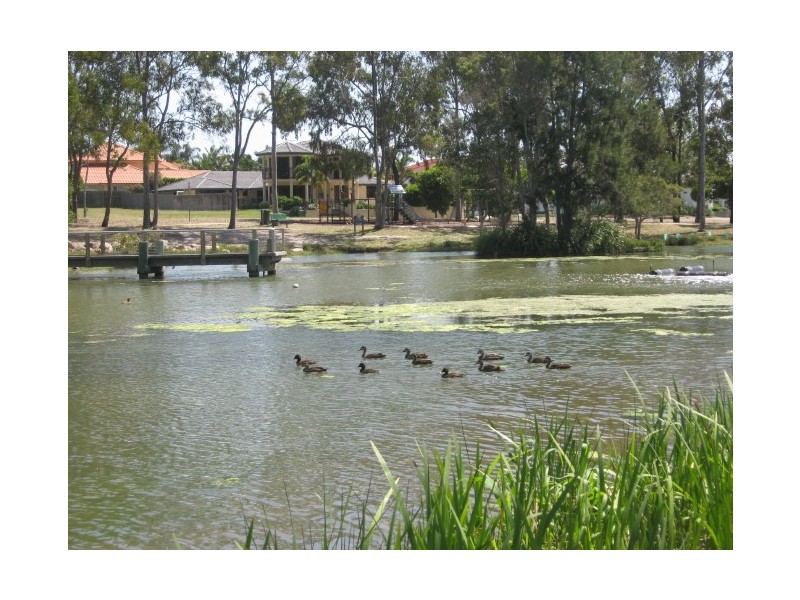 Parkinson QLD 4115