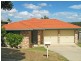 56 Muscari Crescent, Drewvale QLD 4116