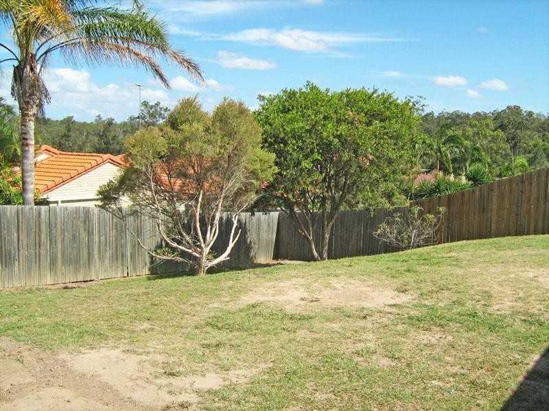 56 Muscari Crescent, Drewvale QLD 4116