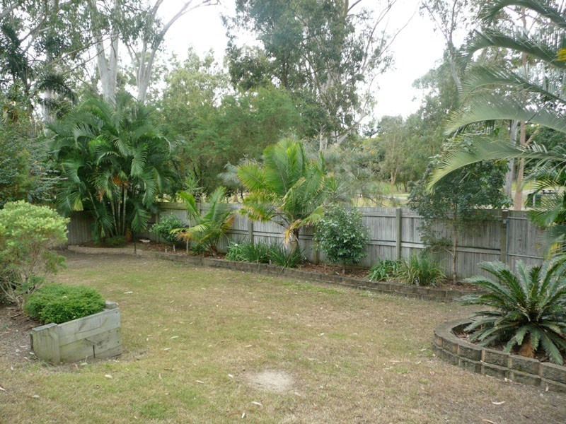 3 Corkwood Street, Algester QLD 4115