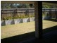 46 Freshwater Circuit, Berrinba QLD 4117