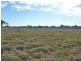 Loganlea QLD 4131