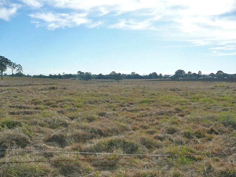 Loganlea QLD 4131