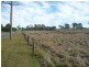 Loganlea QLD 4131