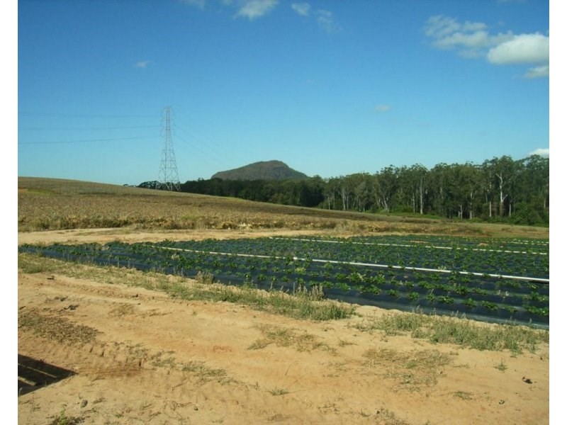 26 Lindeman Road, Beerwah QLD 4519