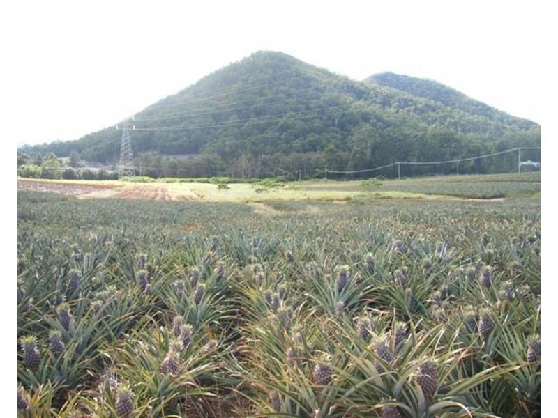 26 Lindeman Road, Beerwah QLD 4519